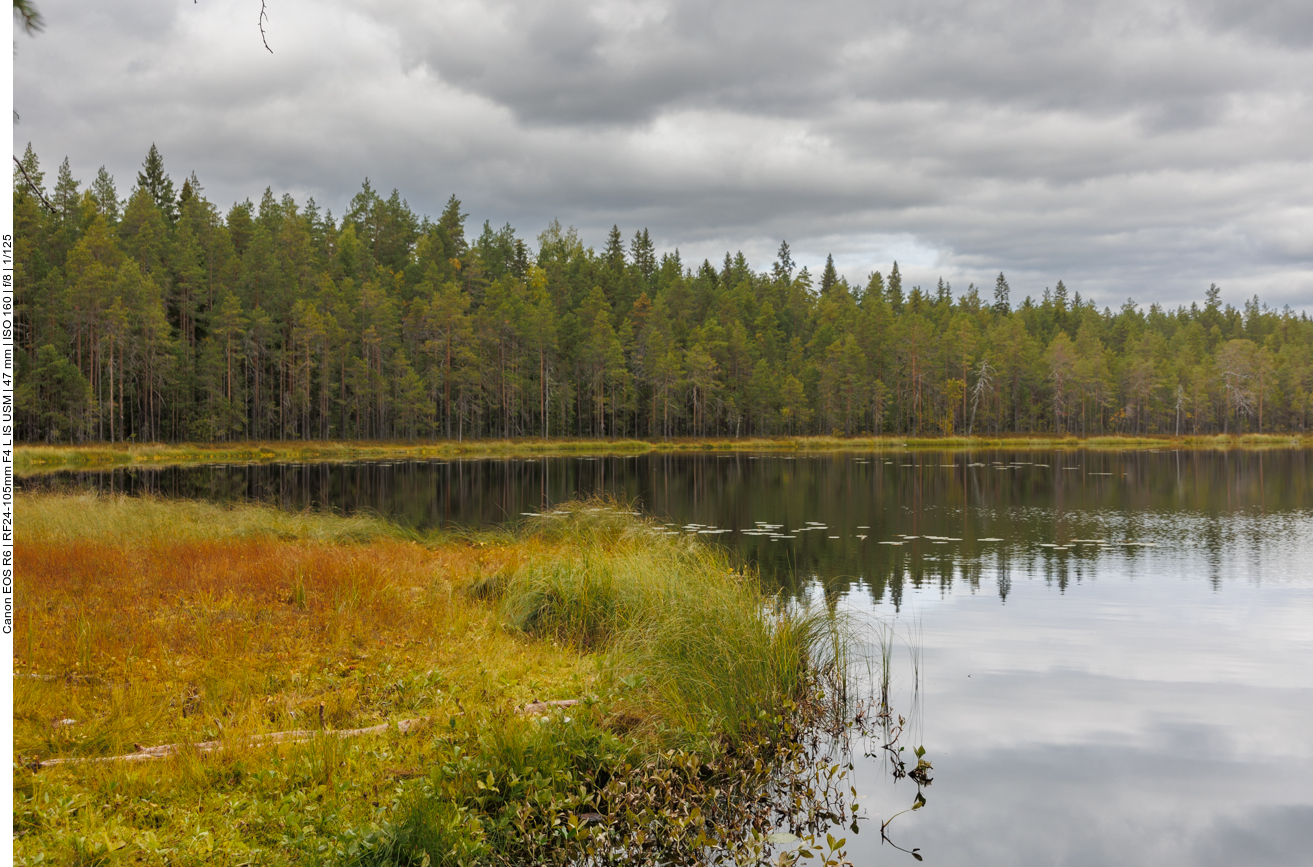 Leider kommt manchmal auch von oben etwas Wasser