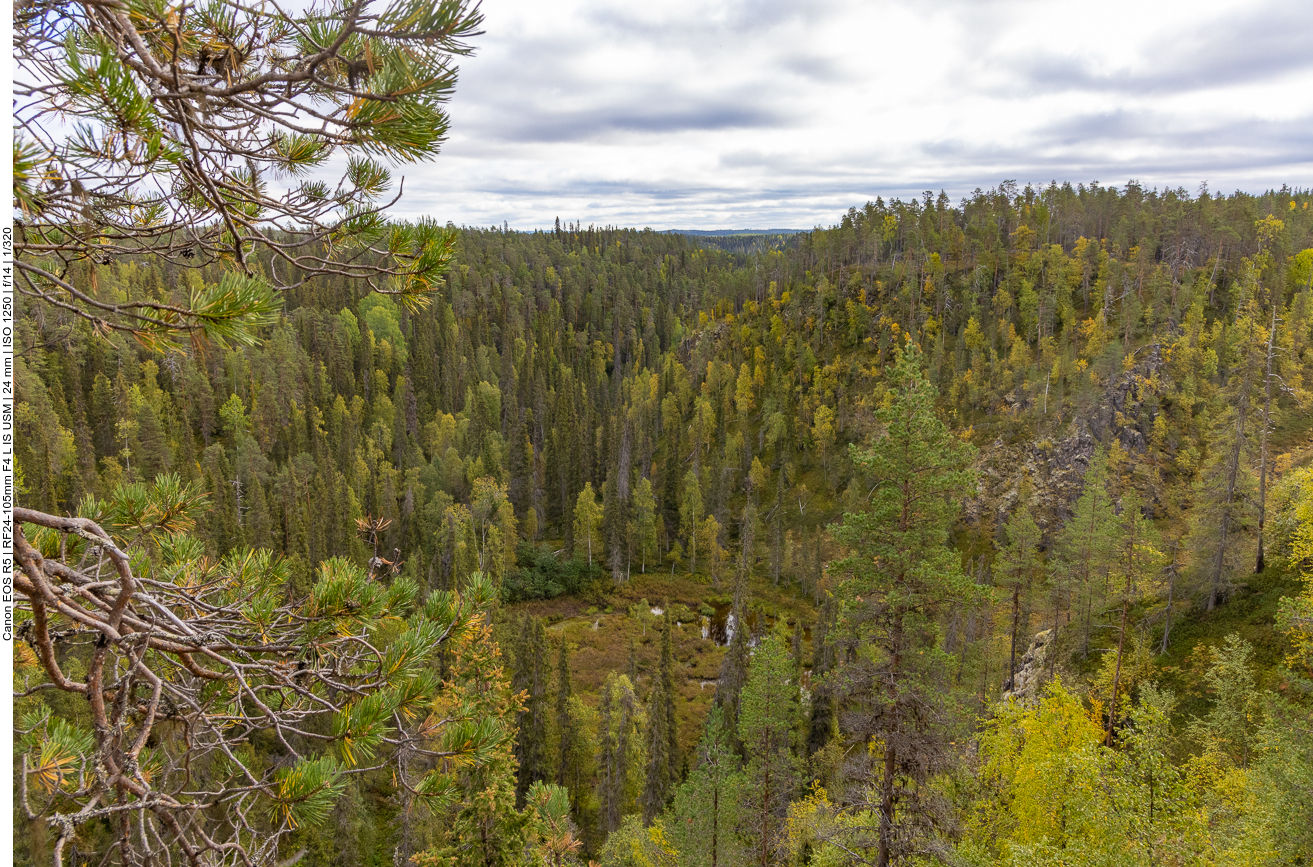 Blick von einem Hügel in das Moorgebiet