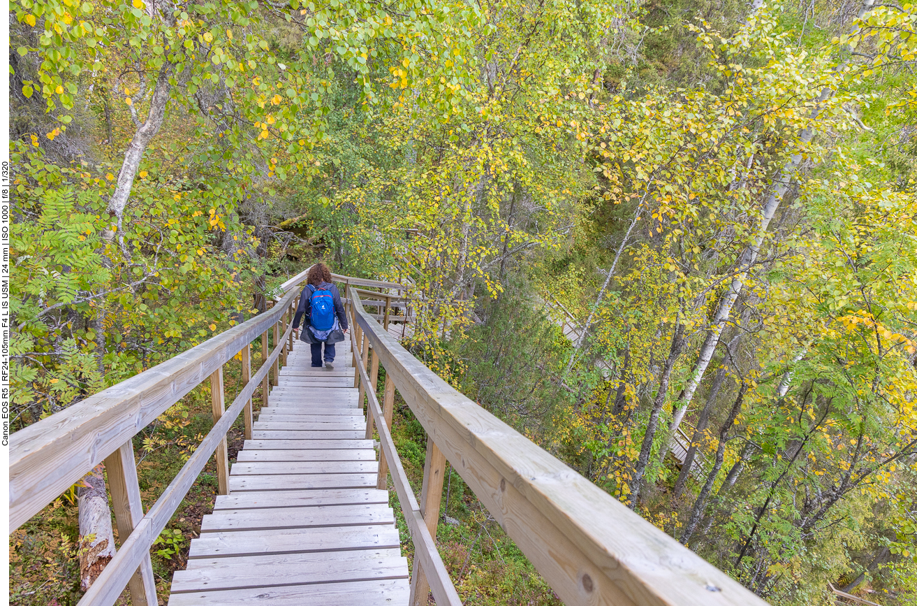 Holztreppen führen vom Hügel hinab