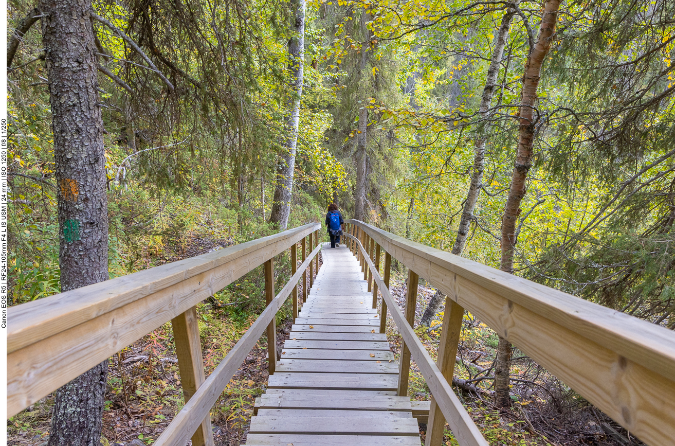 Die Treppen nehmen kein Ende
