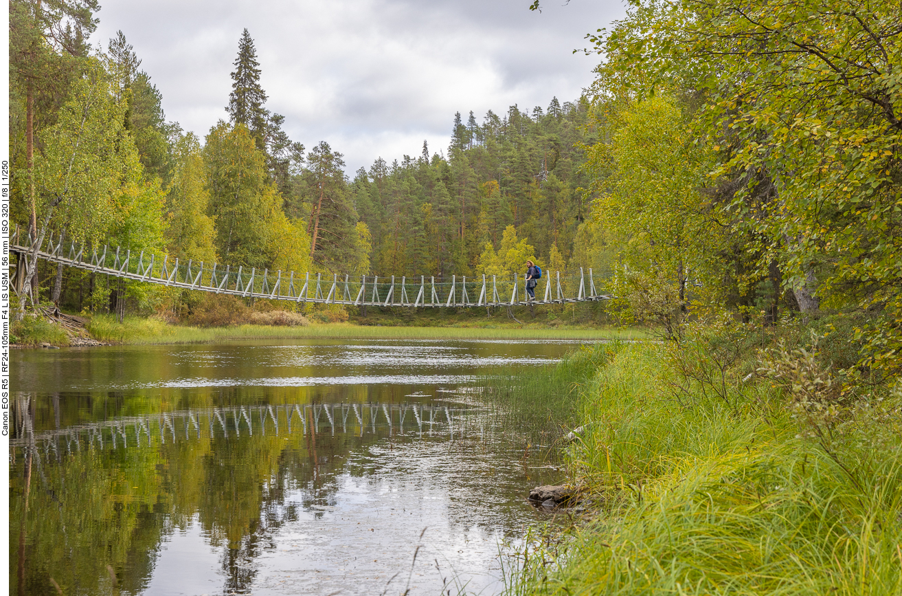 Hängebrücke über den See