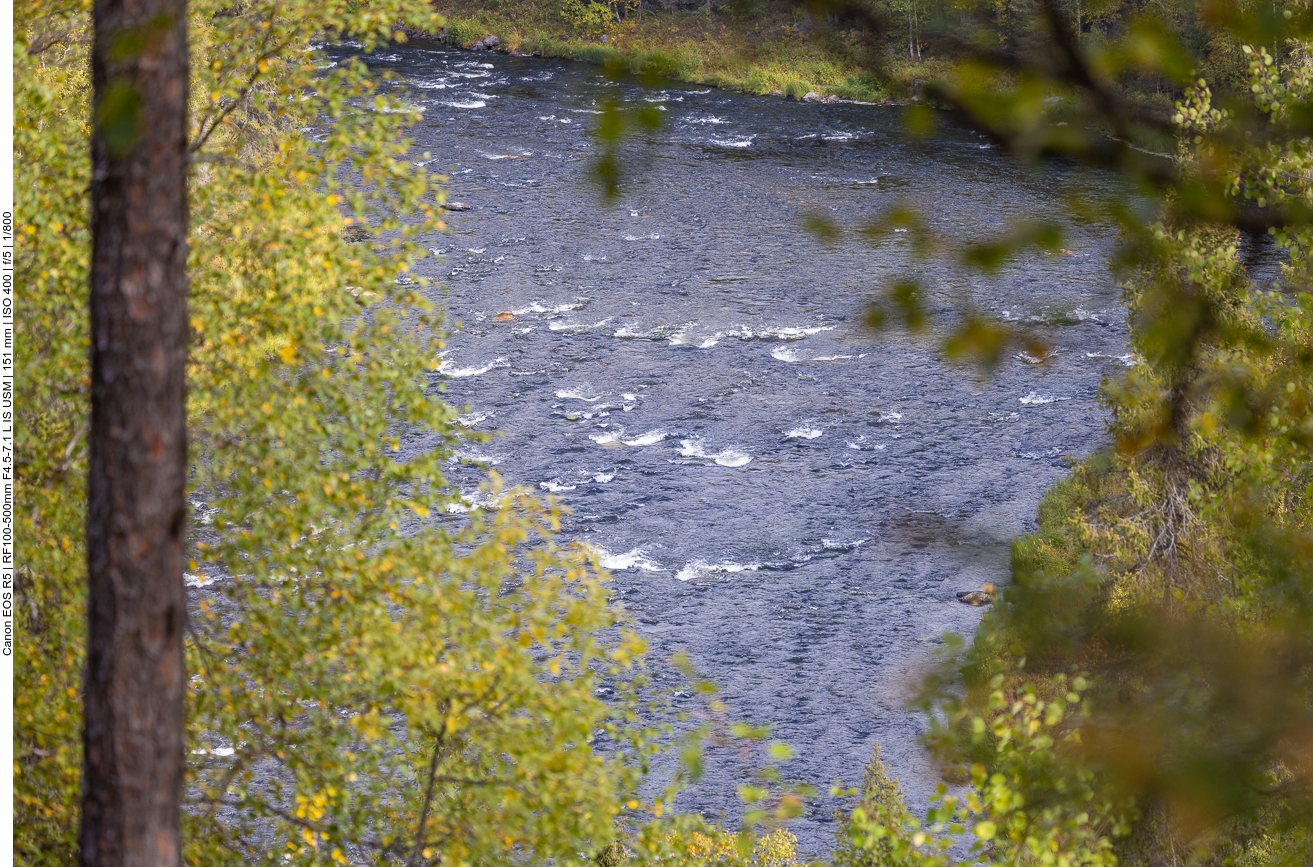 ... mit Stromschnellen