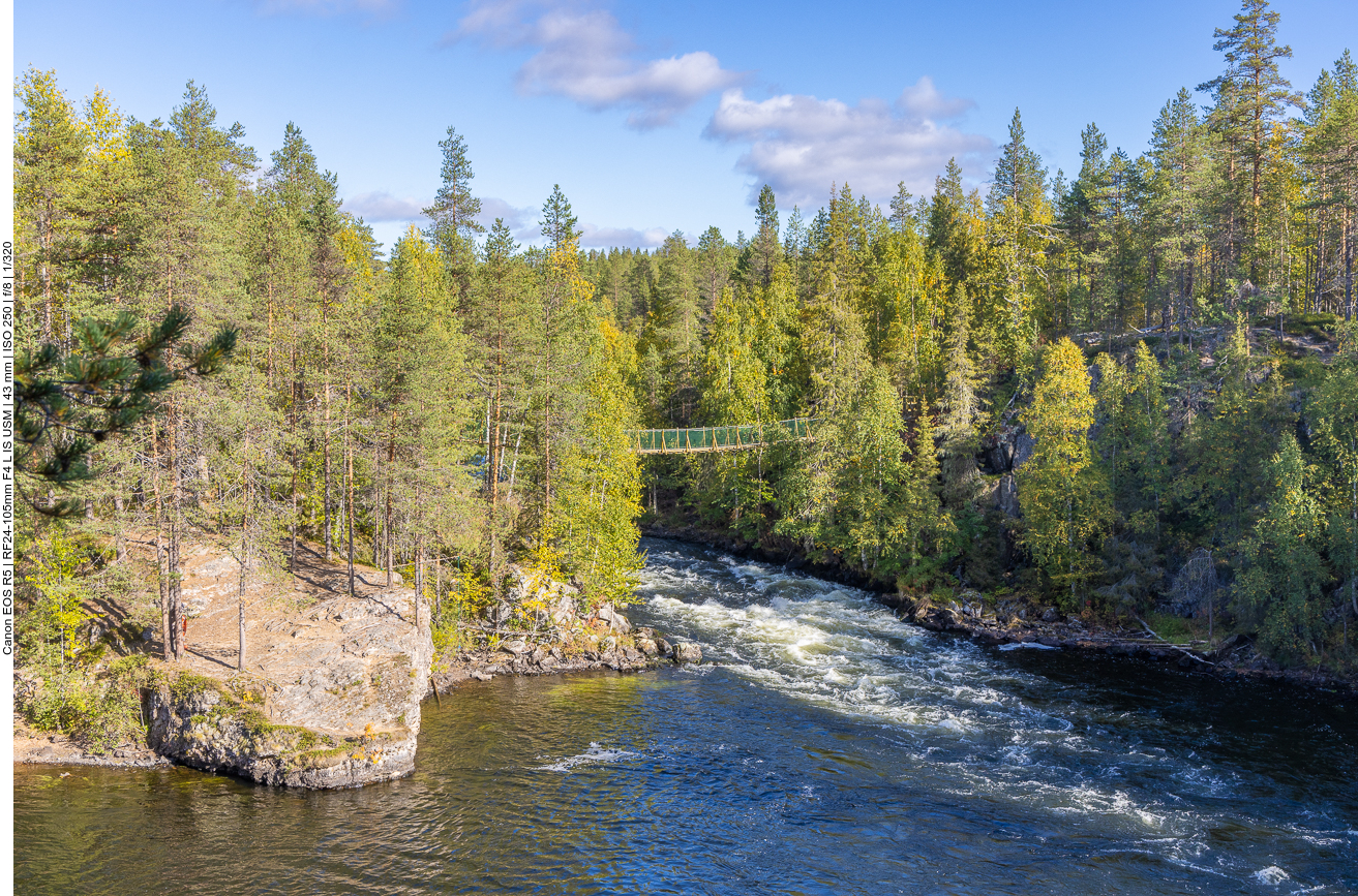 Auf dem Rückweg geht es nochmal über die Hängebrücke