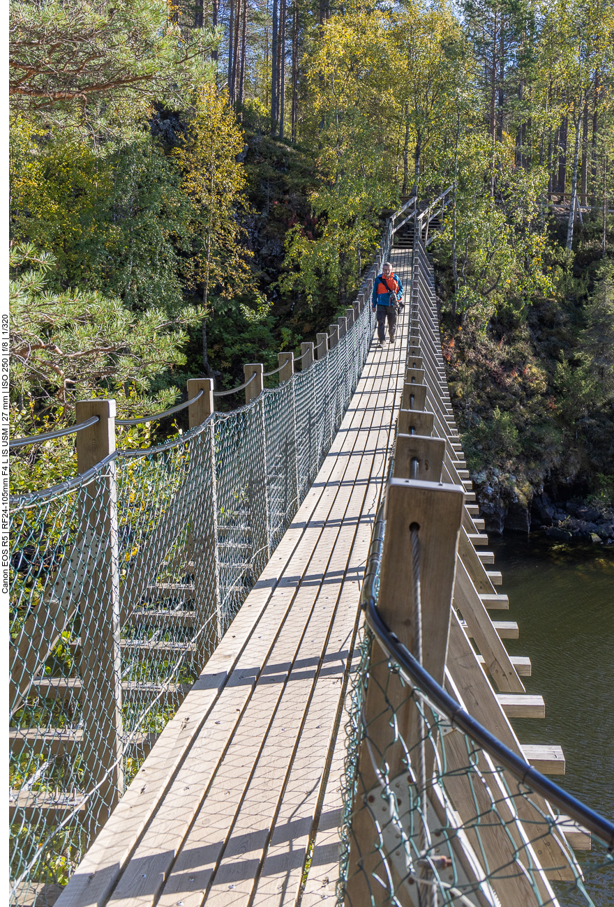 Trotz der schwankenden Brücke ...