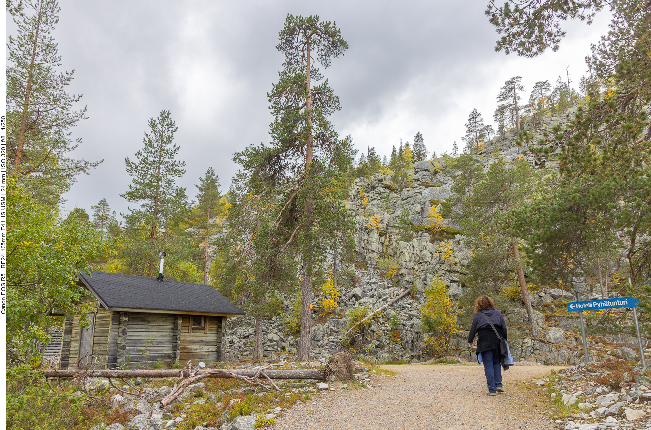 Weiter geht es den Berg hinauf ...
