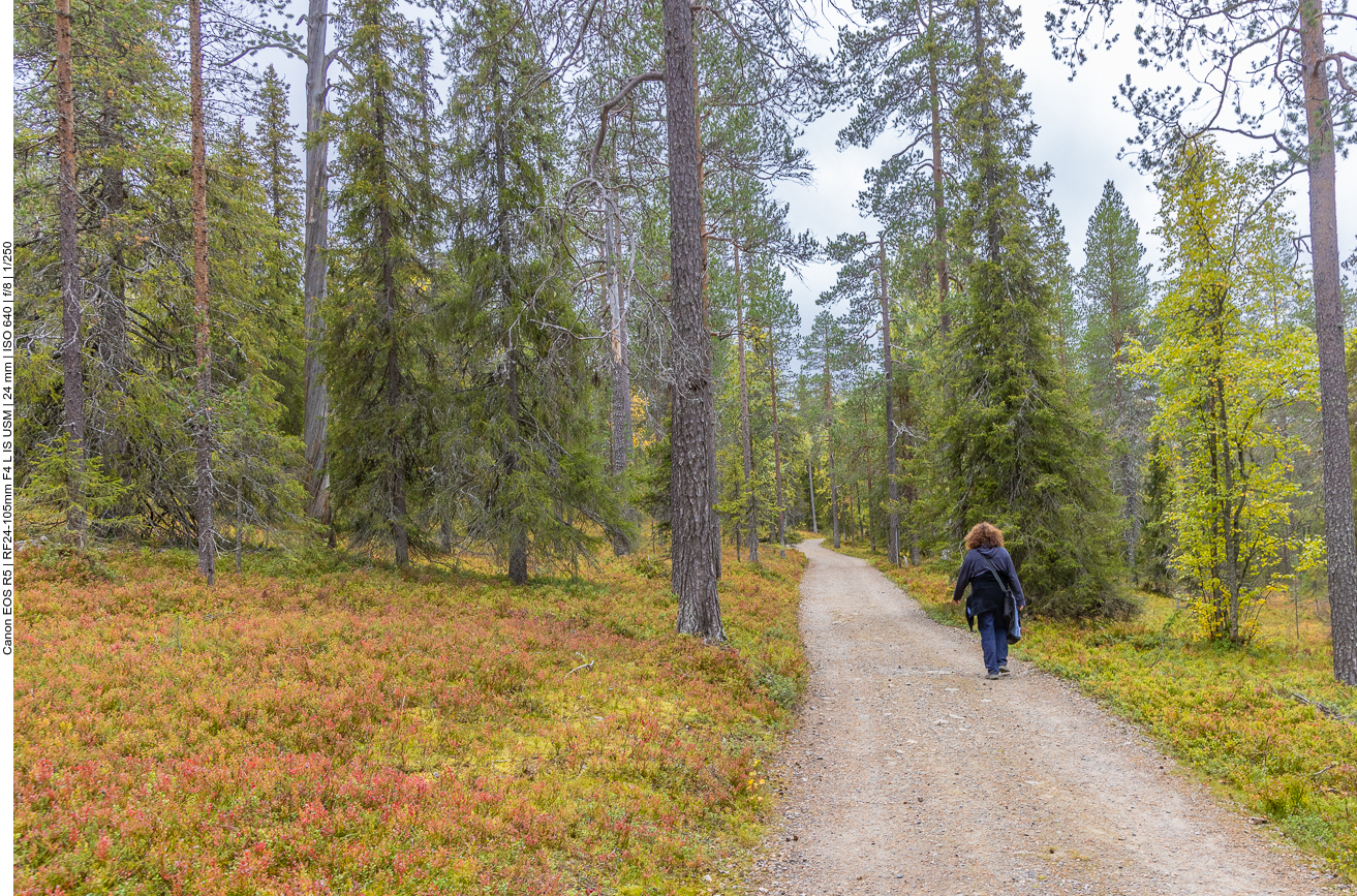 Zur Abwechselung mal ein flaches Stück Weg