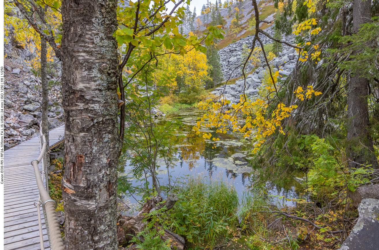 Der Bohlenweg erleichtert das Vorankommen