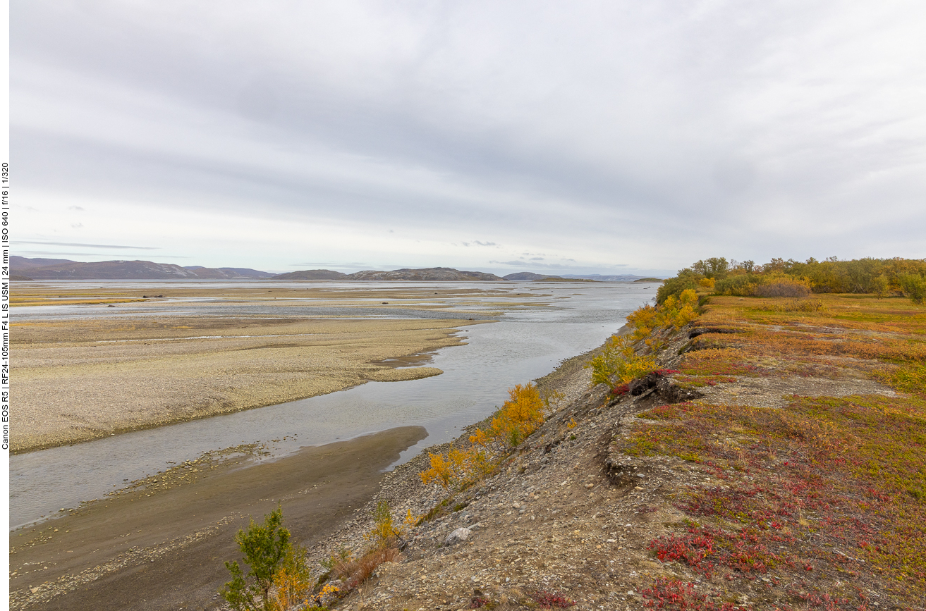 Kein Piepmatz in Sicht