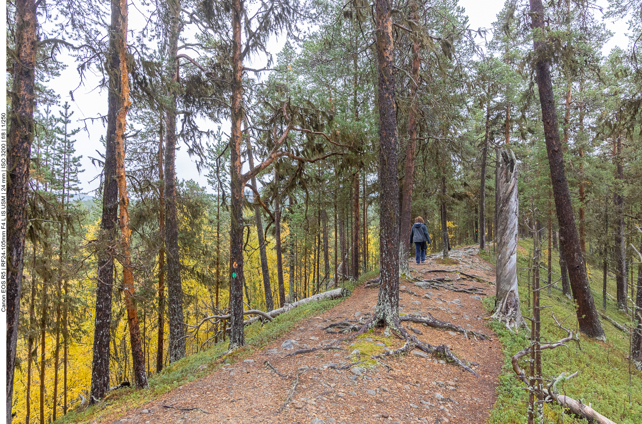 Auf dem Kamm ist es etwas trockener