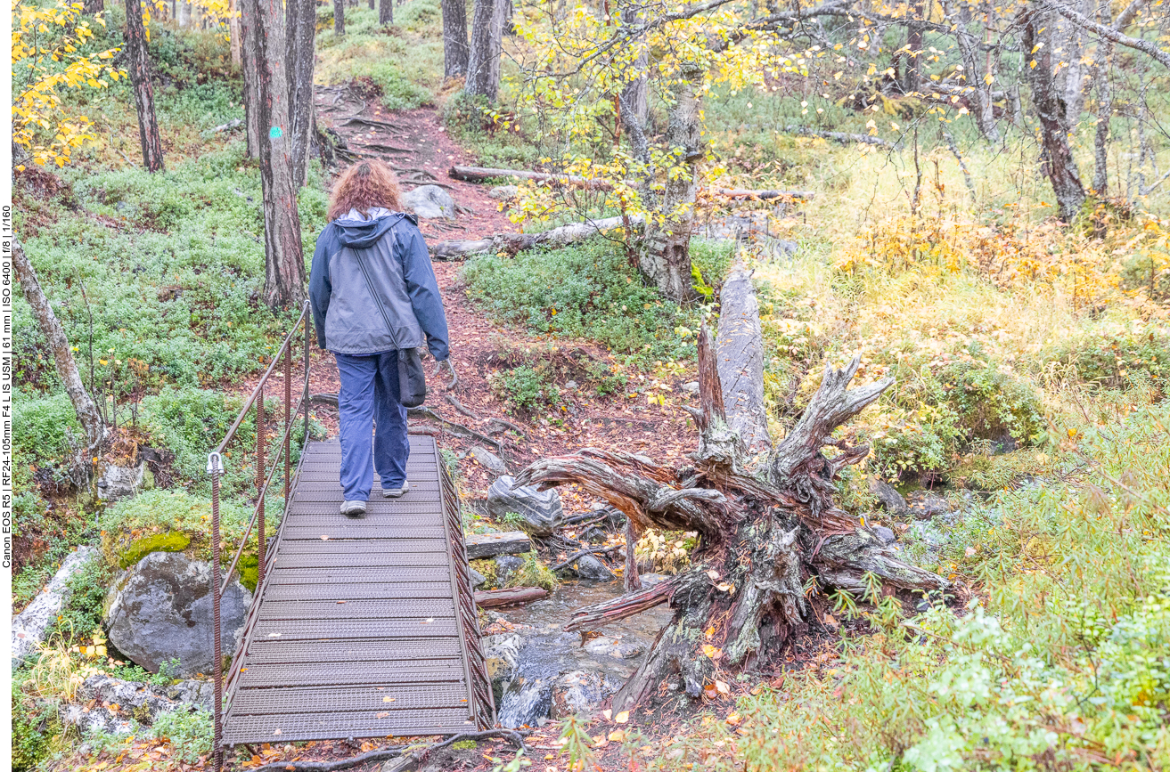 ... über stählerne Brücken