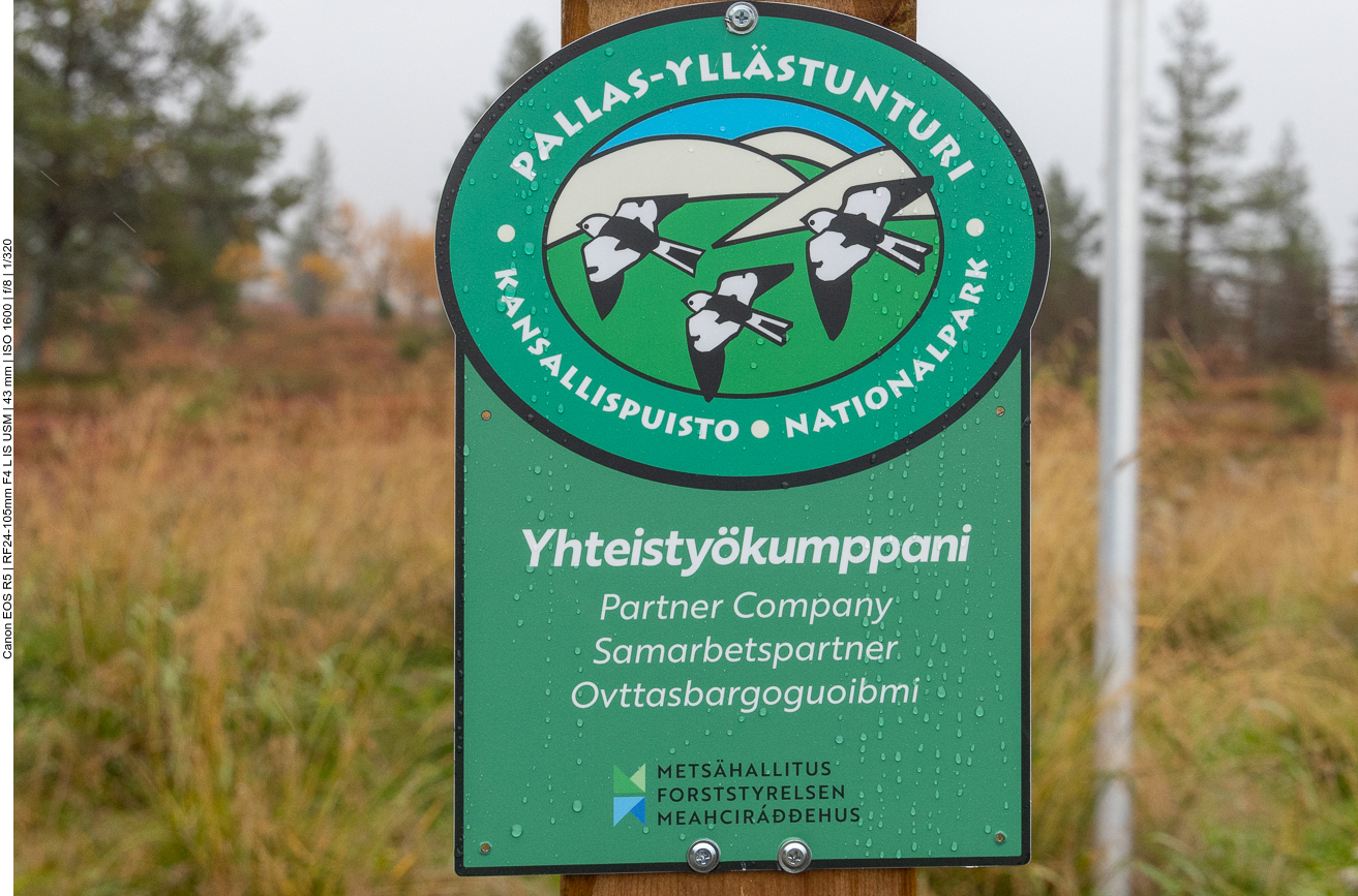 Start der Wanderung im Nationalpark Kansallispuisto