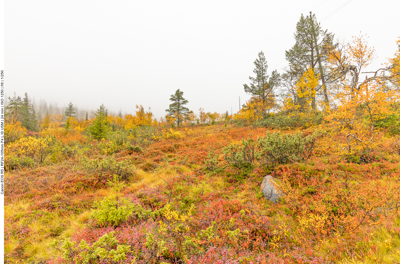 Wir erreichen die Nebelzone