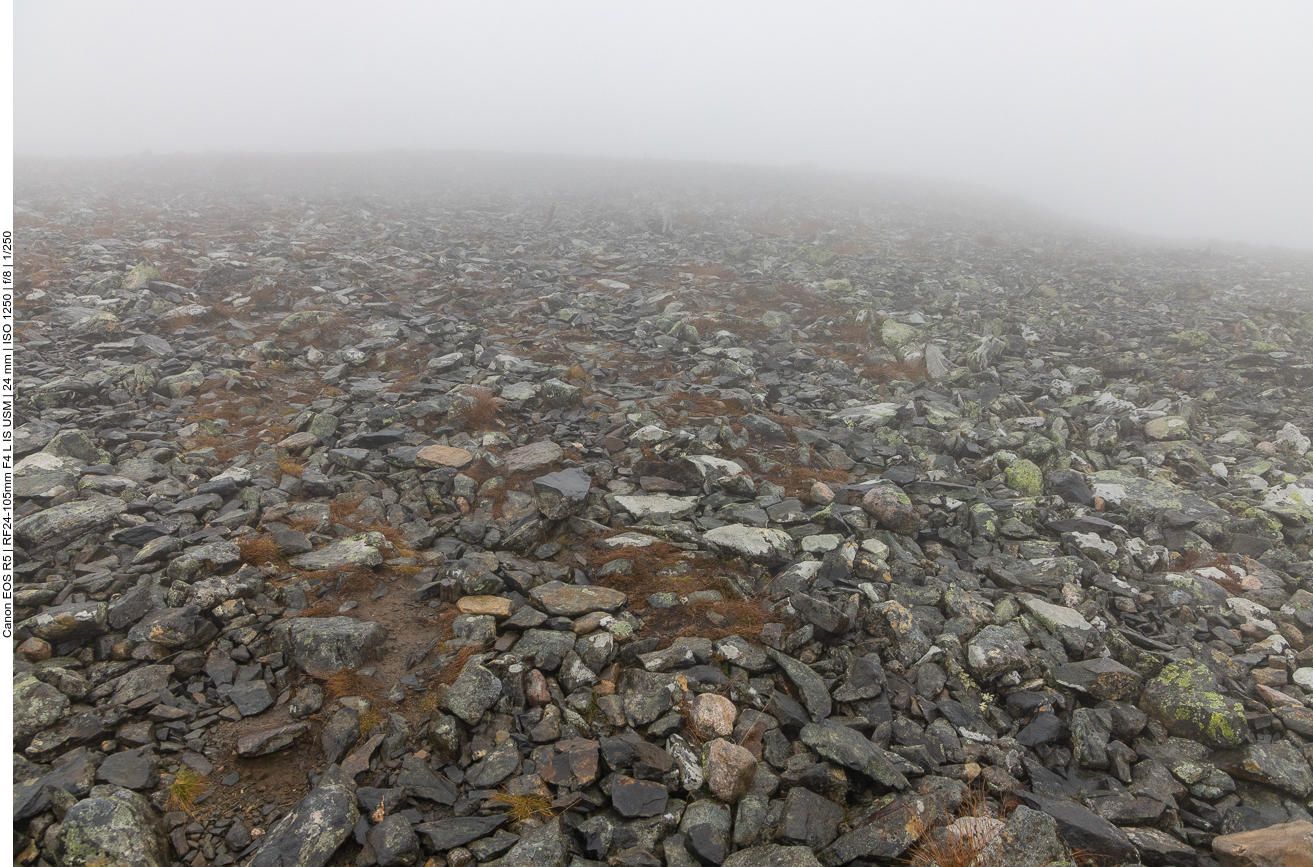 Das ist der Wanderweg, kaum auszumachen