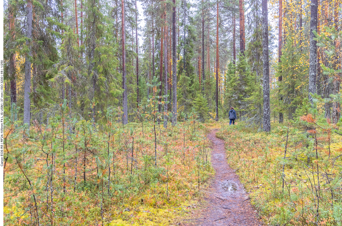 Hier bekommt man leicht nasse Füße