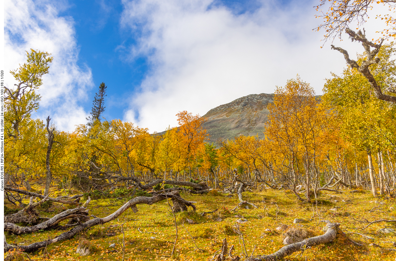 Im Hintergrund der Berg Sonfjället