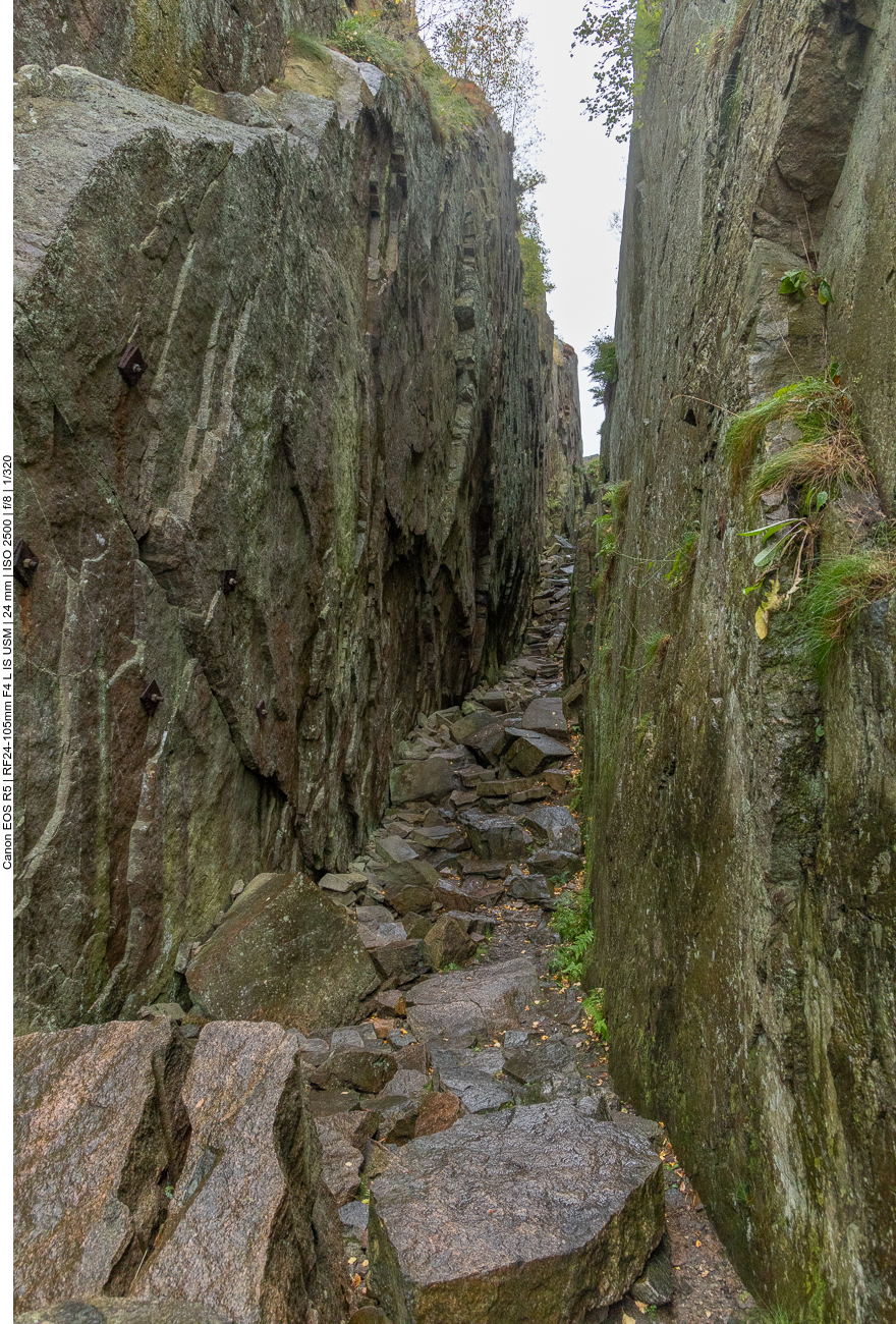 ... ob Ronja Räubertochter noch da ist ;-)