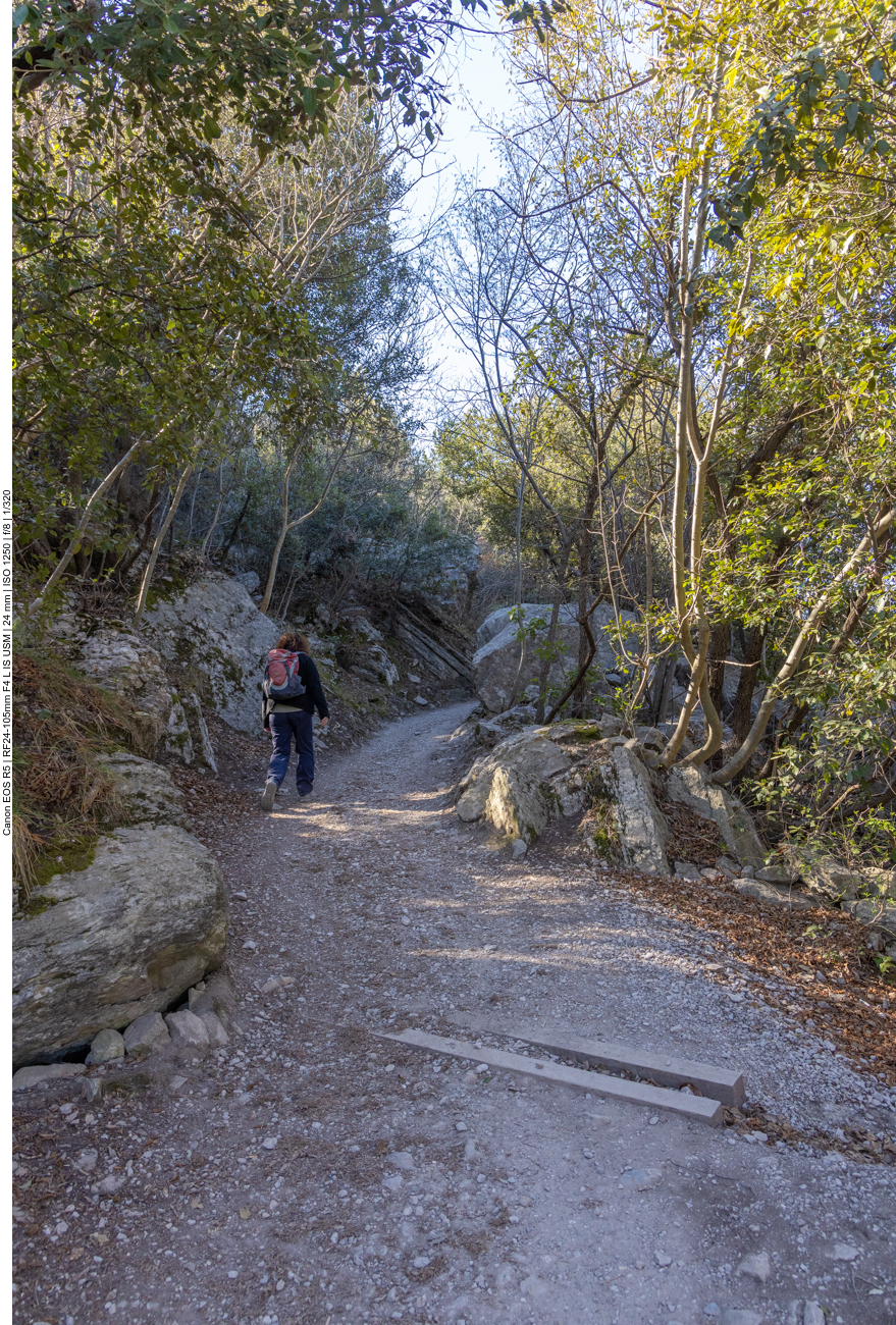 Nun steigen wir den Berg hinauf
