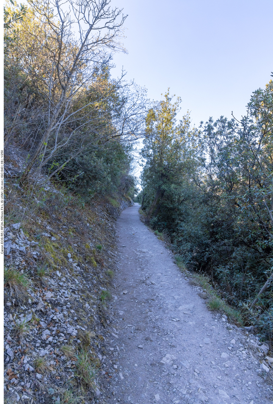 Vor uns liegt der Wanderweg