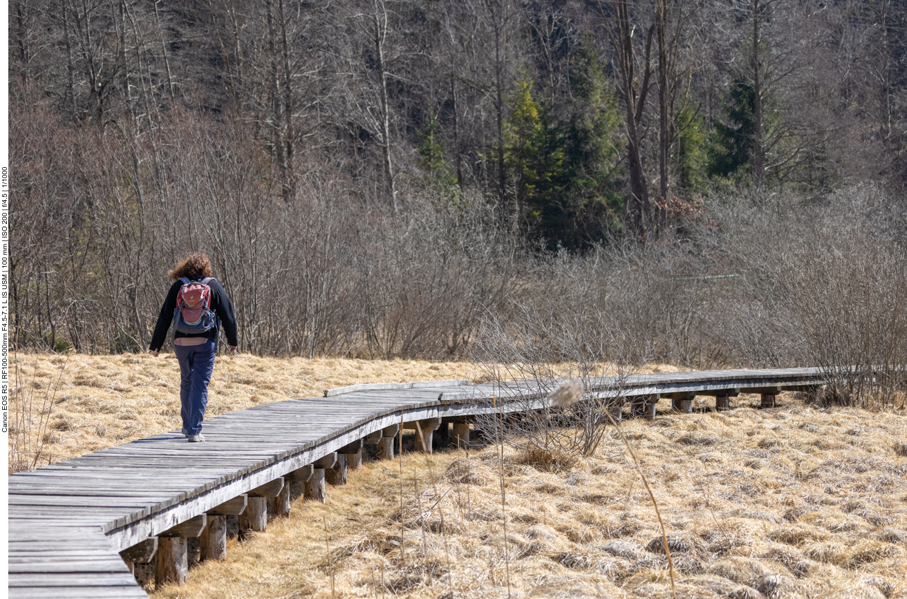 Aber gehen wir lieber zu den tierischen Fliegern weiter