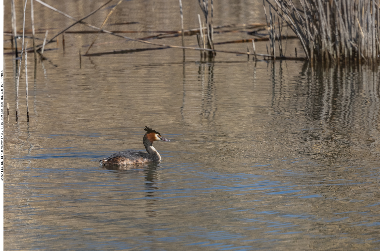 Noch ein paar Bilder ...