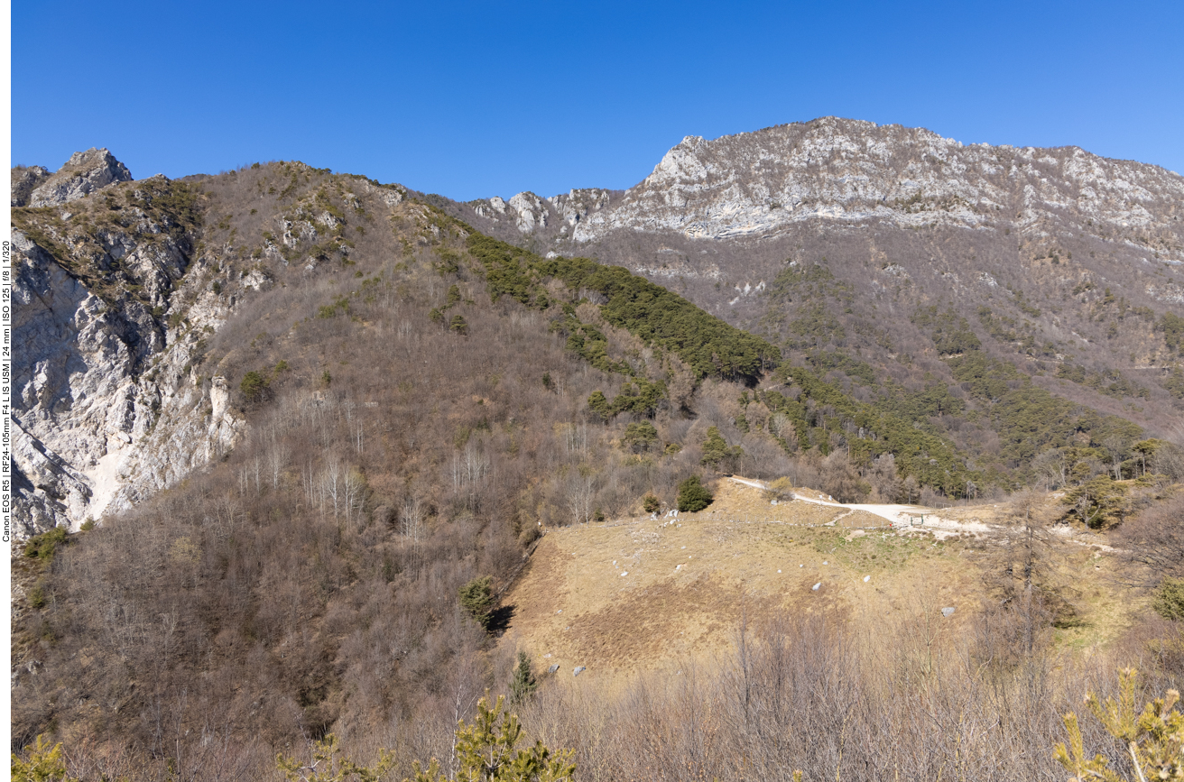 Der Weg in der Mitte des Bildes ...