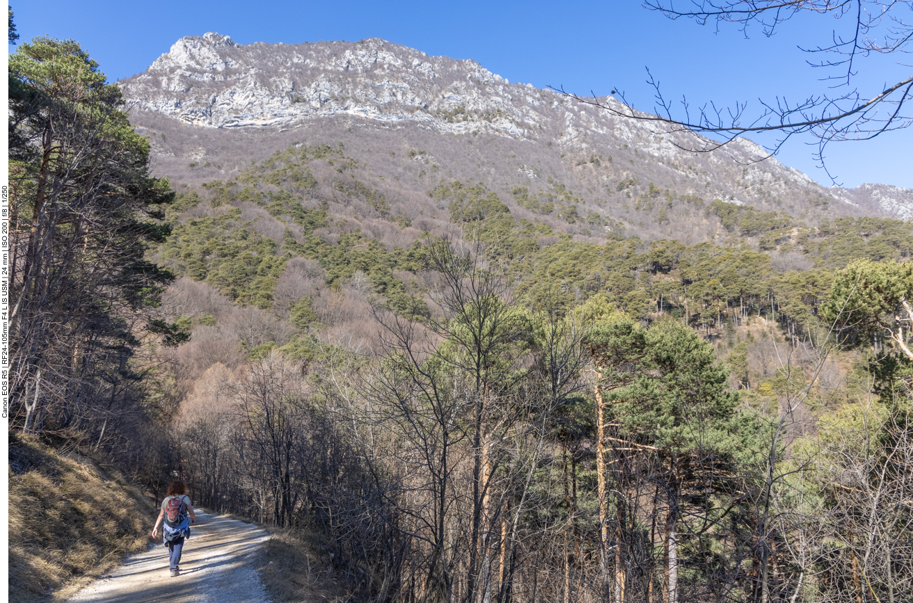 Auf dem R&uuml;ckweg ...