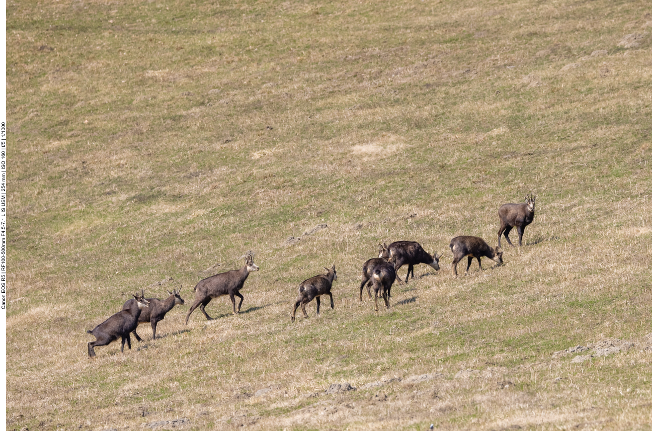 Wir verhalten uns ruhig ...