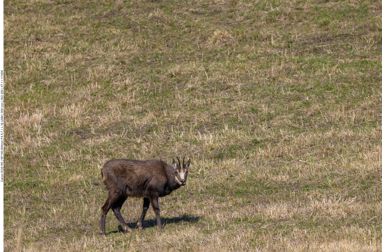 Ja, wir gehen ja gleich ...