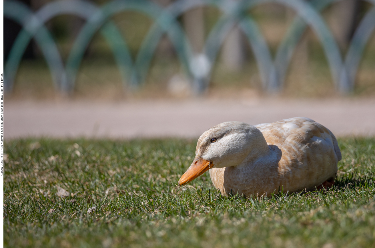 ... und dann weiter geruht