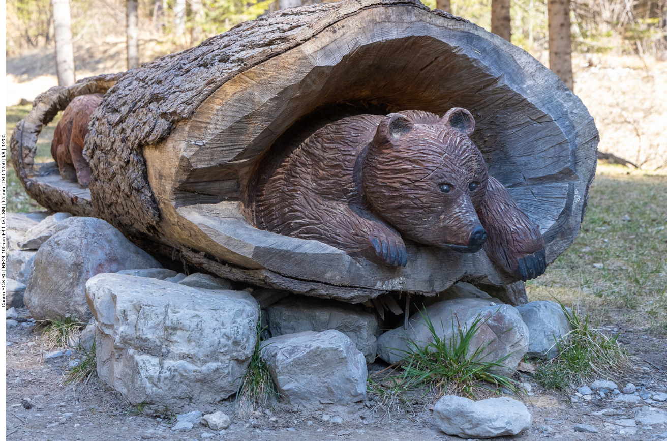B&auml;renh&ouml;hle ;-)