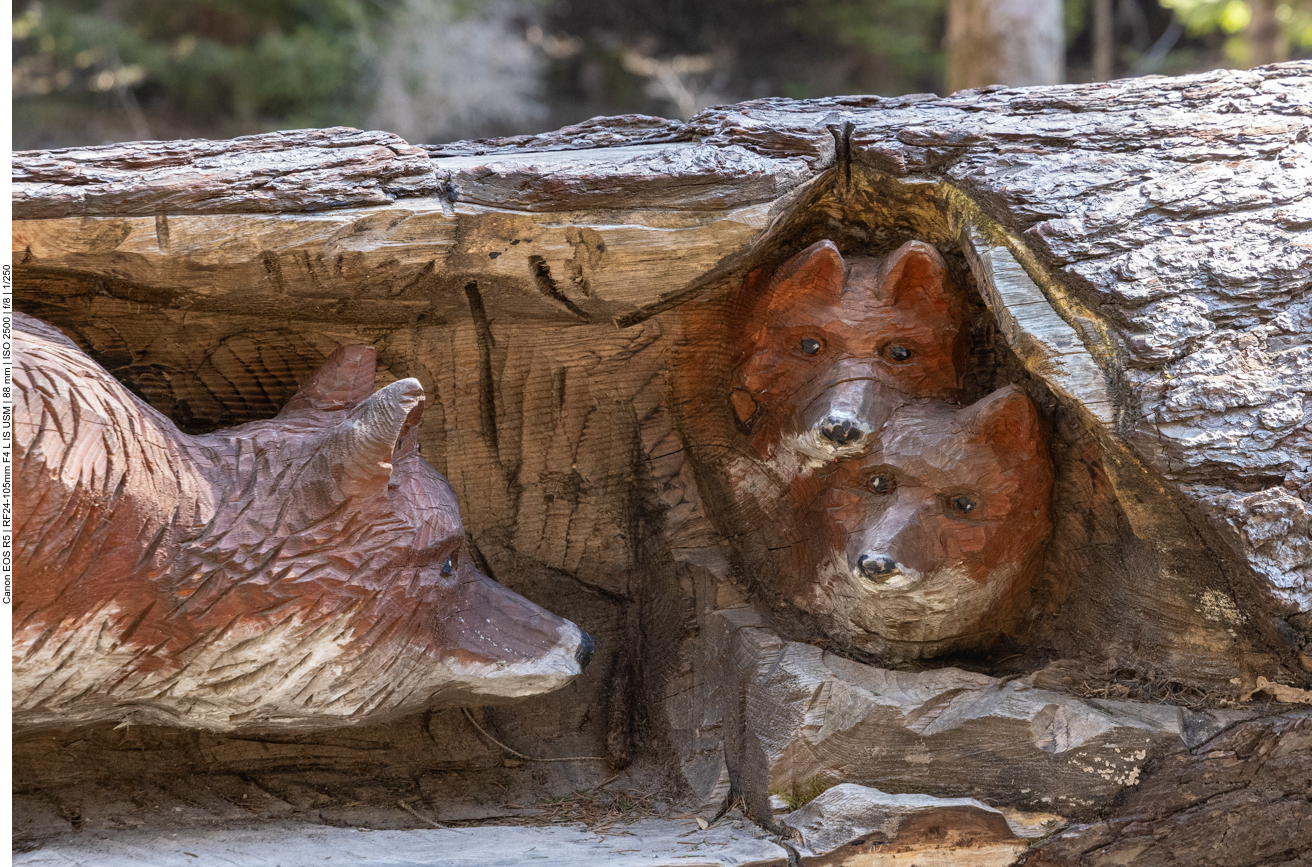 Sehr sch&ouml;n geschnitzt