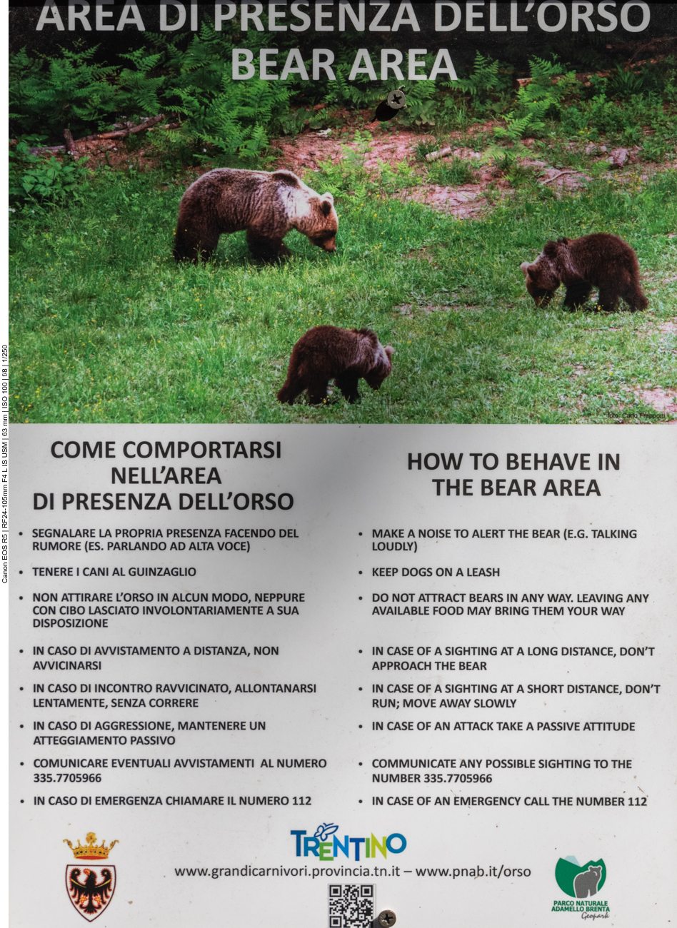 B&auml;ren gibt es hier tats&auml;chlich, doch wir sehen keinen