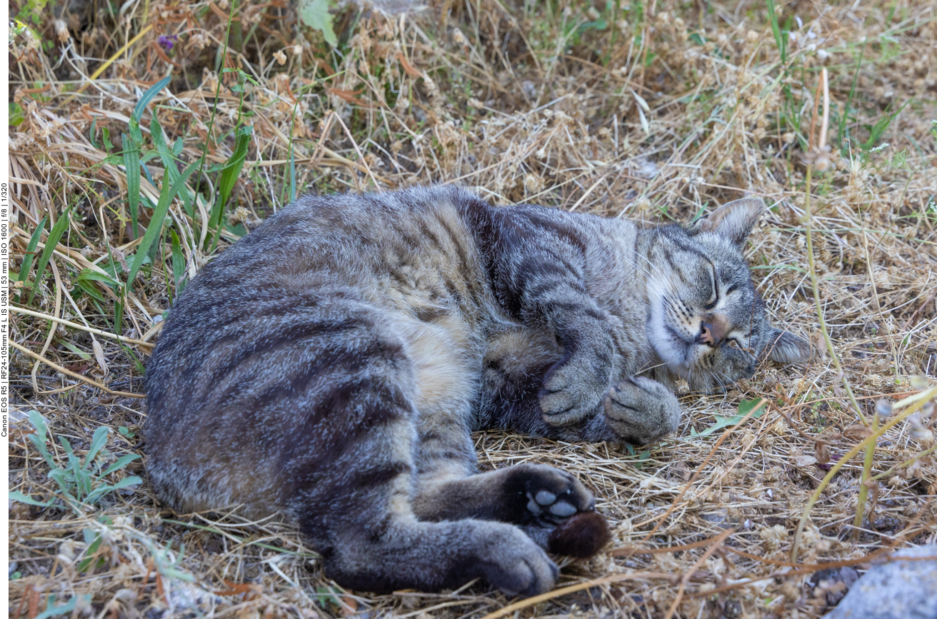 ... bei 30&deg;C verst&auml;ndlich