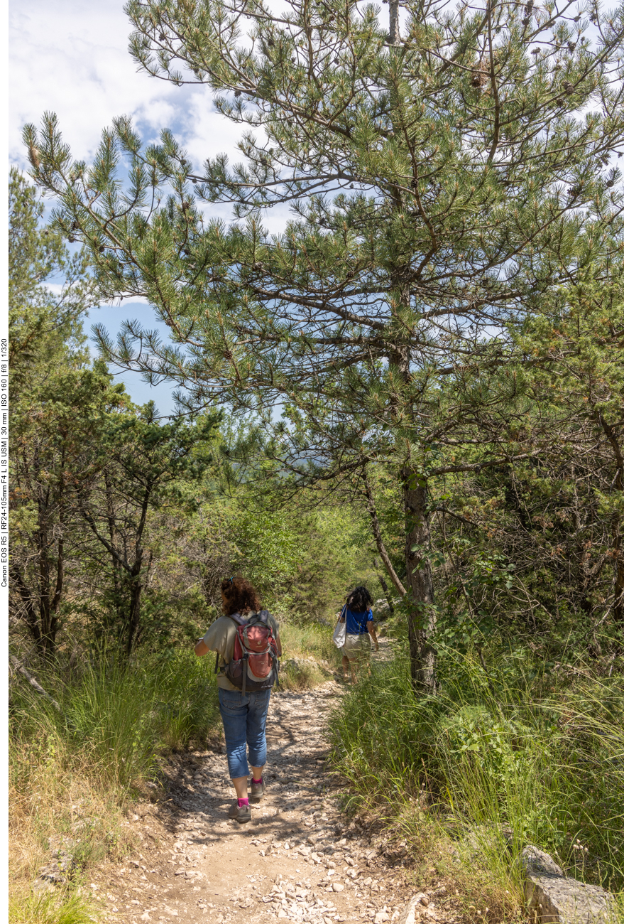 Auf steilen Pfaden wandern wir ins Tal hinab