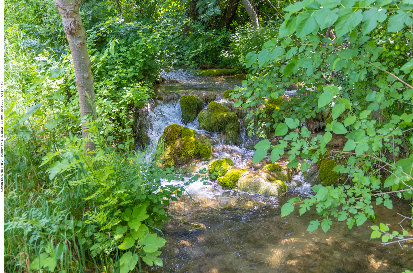Plätschender Bach