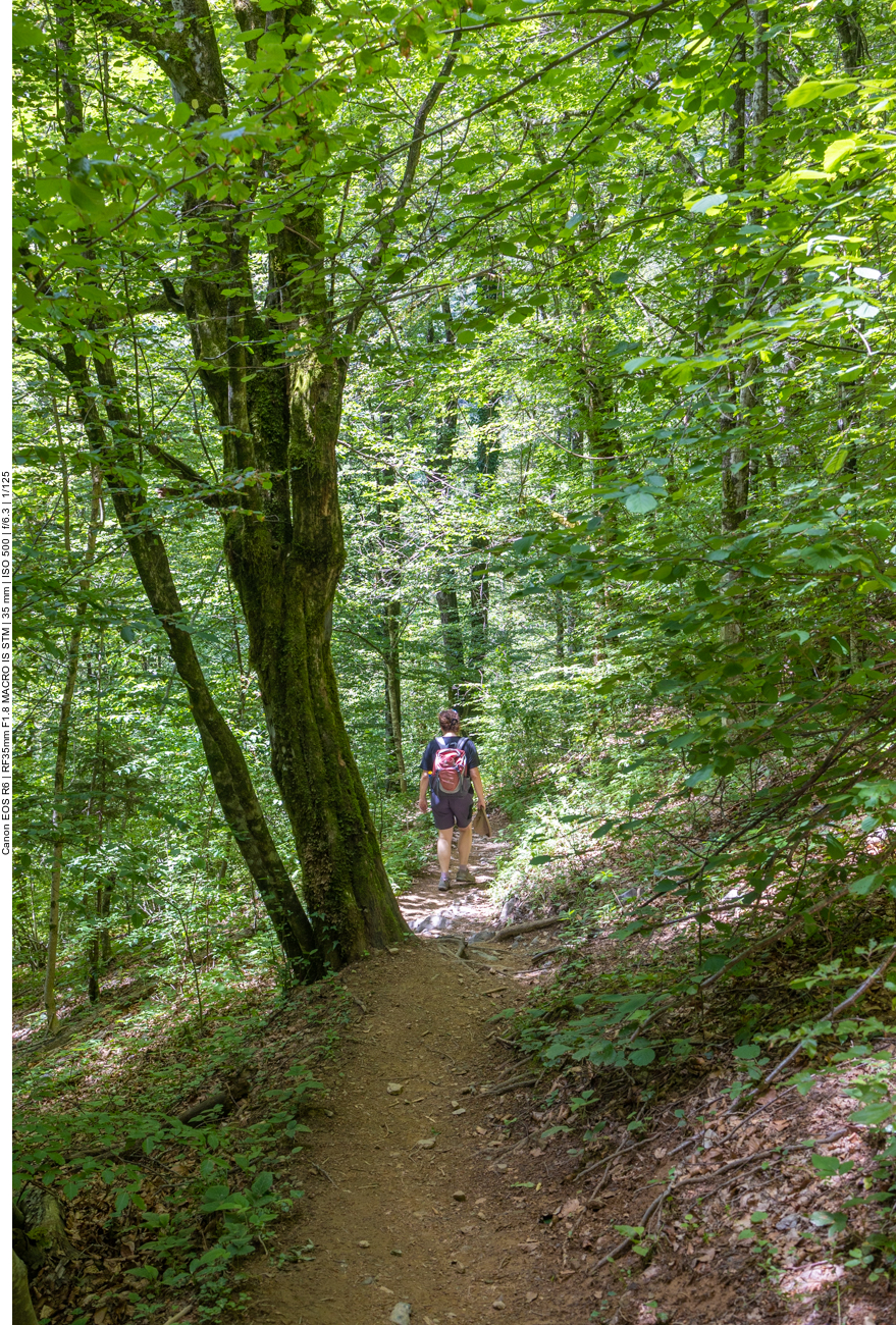 Danach geht es einen steilen Pfad hinab