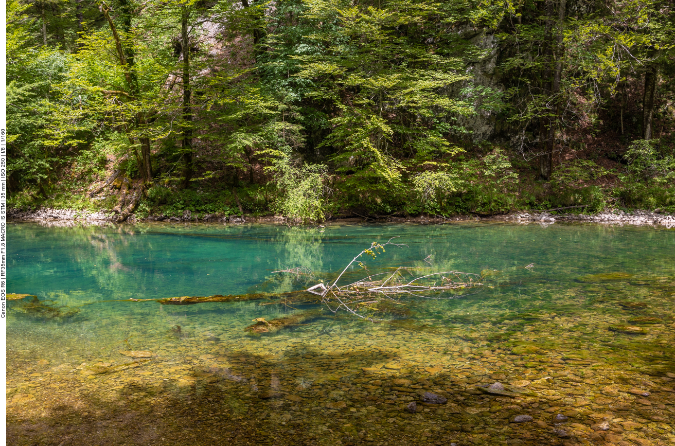 Türkis und das gelbliche Braun harmonieren