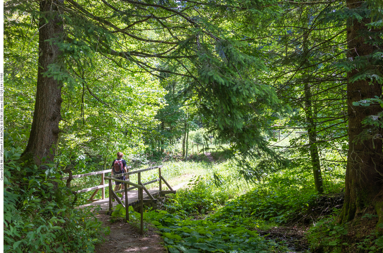 Br&uuml;cke &uuml;ber einen Bach