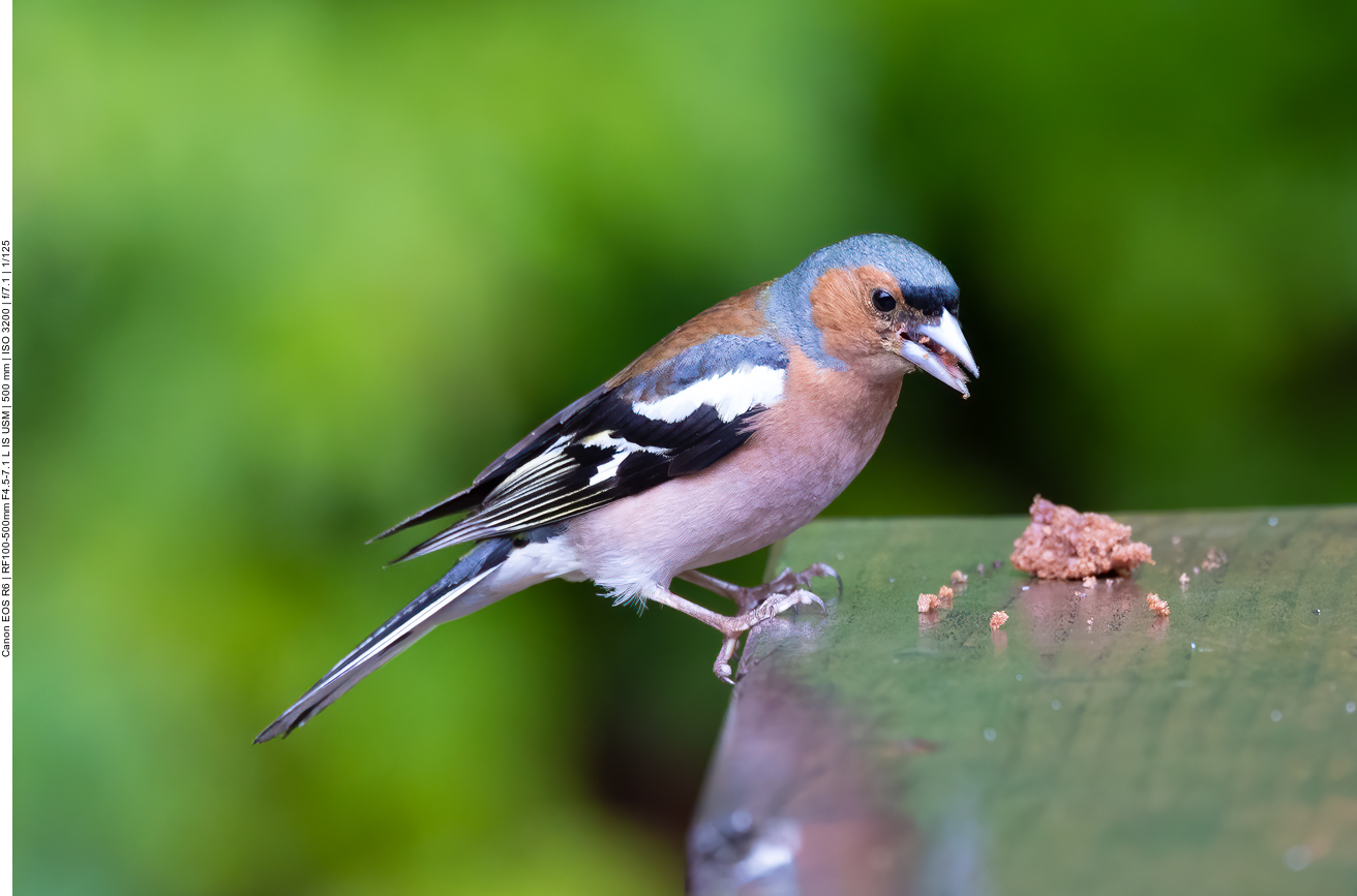 Hoffentlich schmeckt es ...