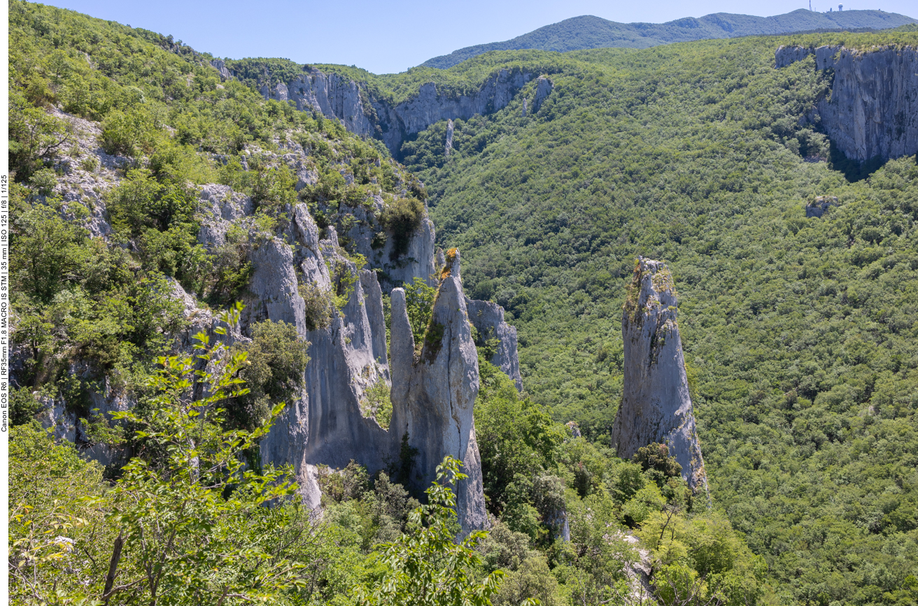 Die Kalks&auml;ulen im Vela Draga Tal