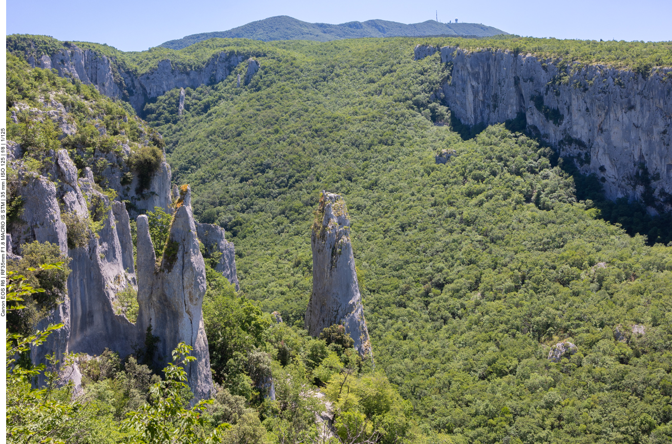 Die Kalks&auml;ulen im Vela Draga Tal