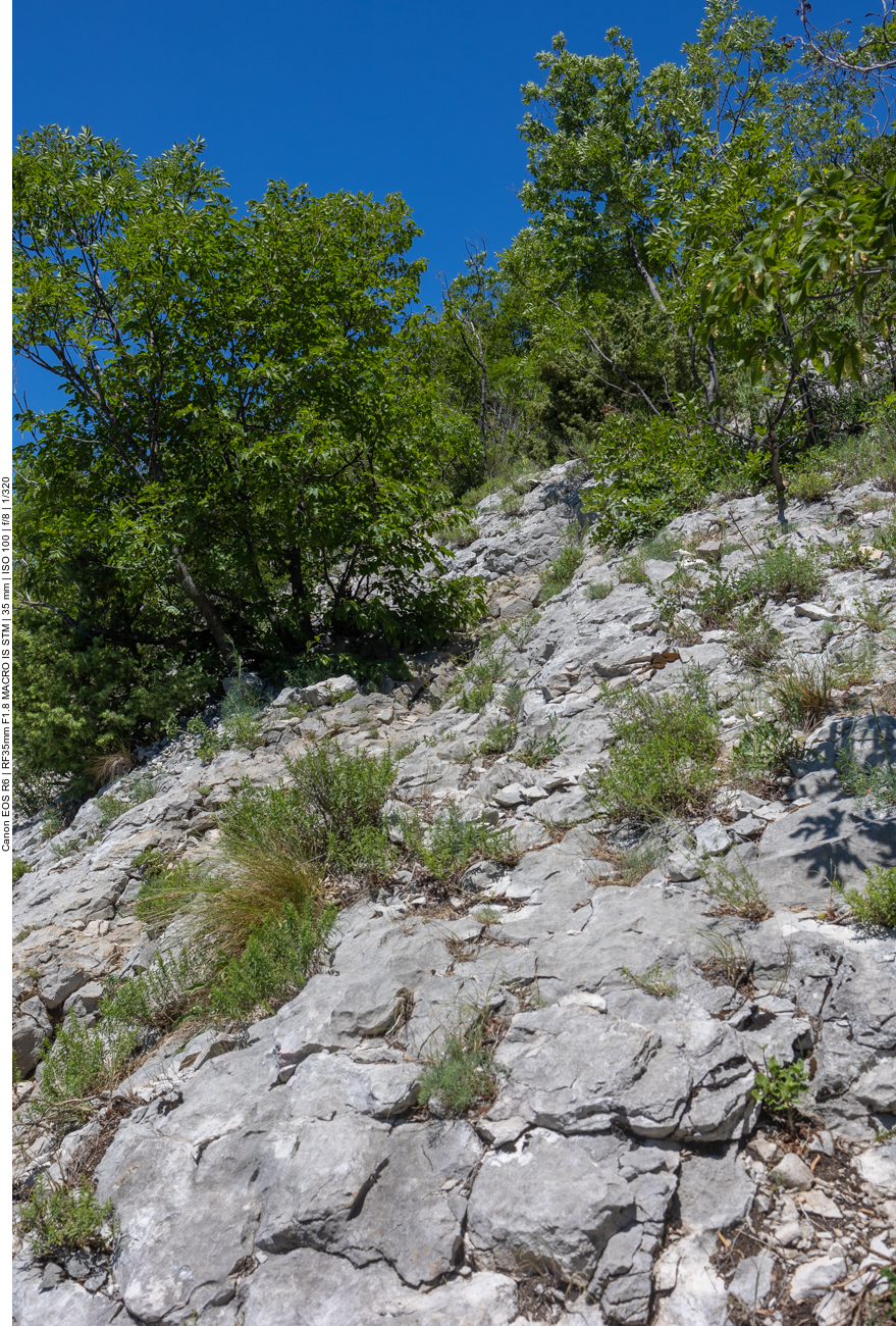 Steiler Weg zur&uuml;ck