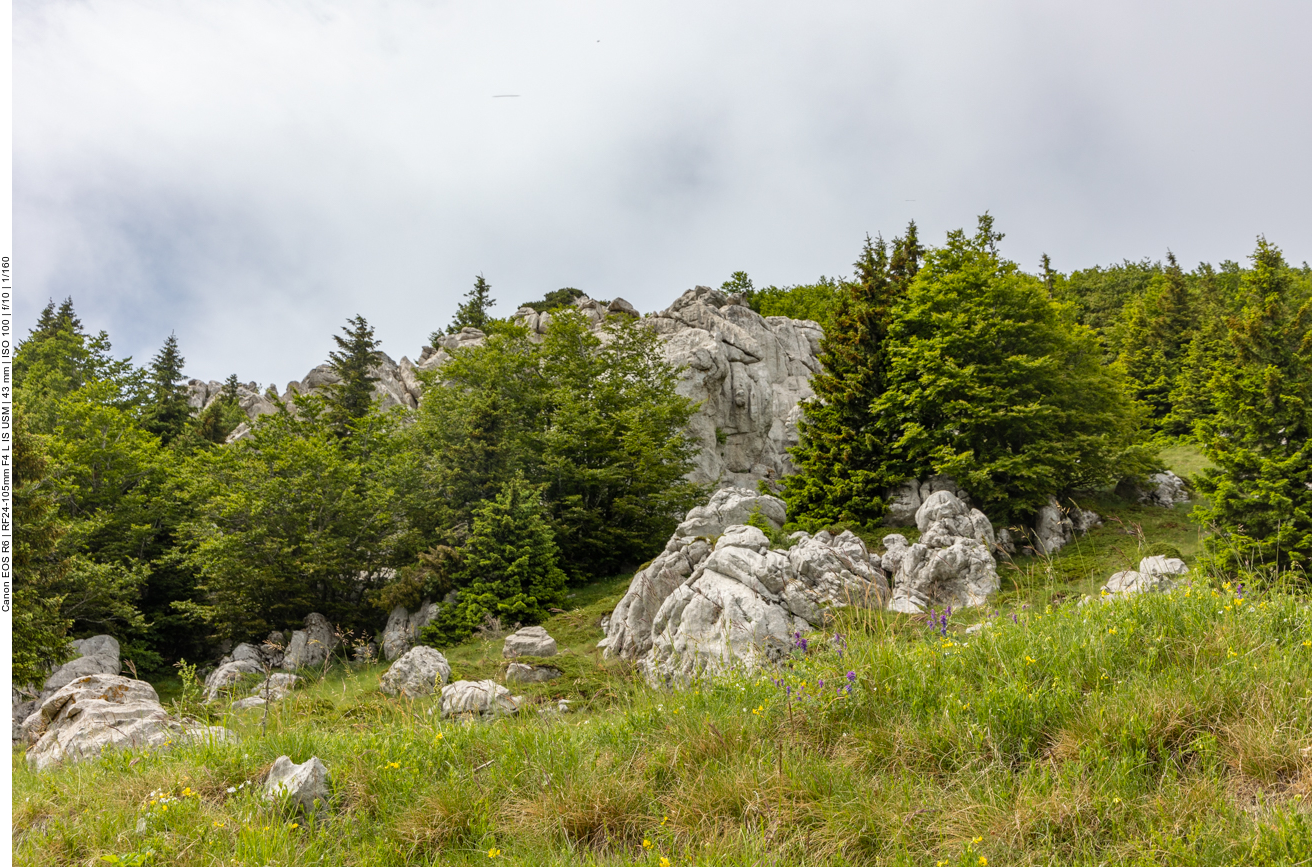 Kalksteinfelsen in den höheren Lagen