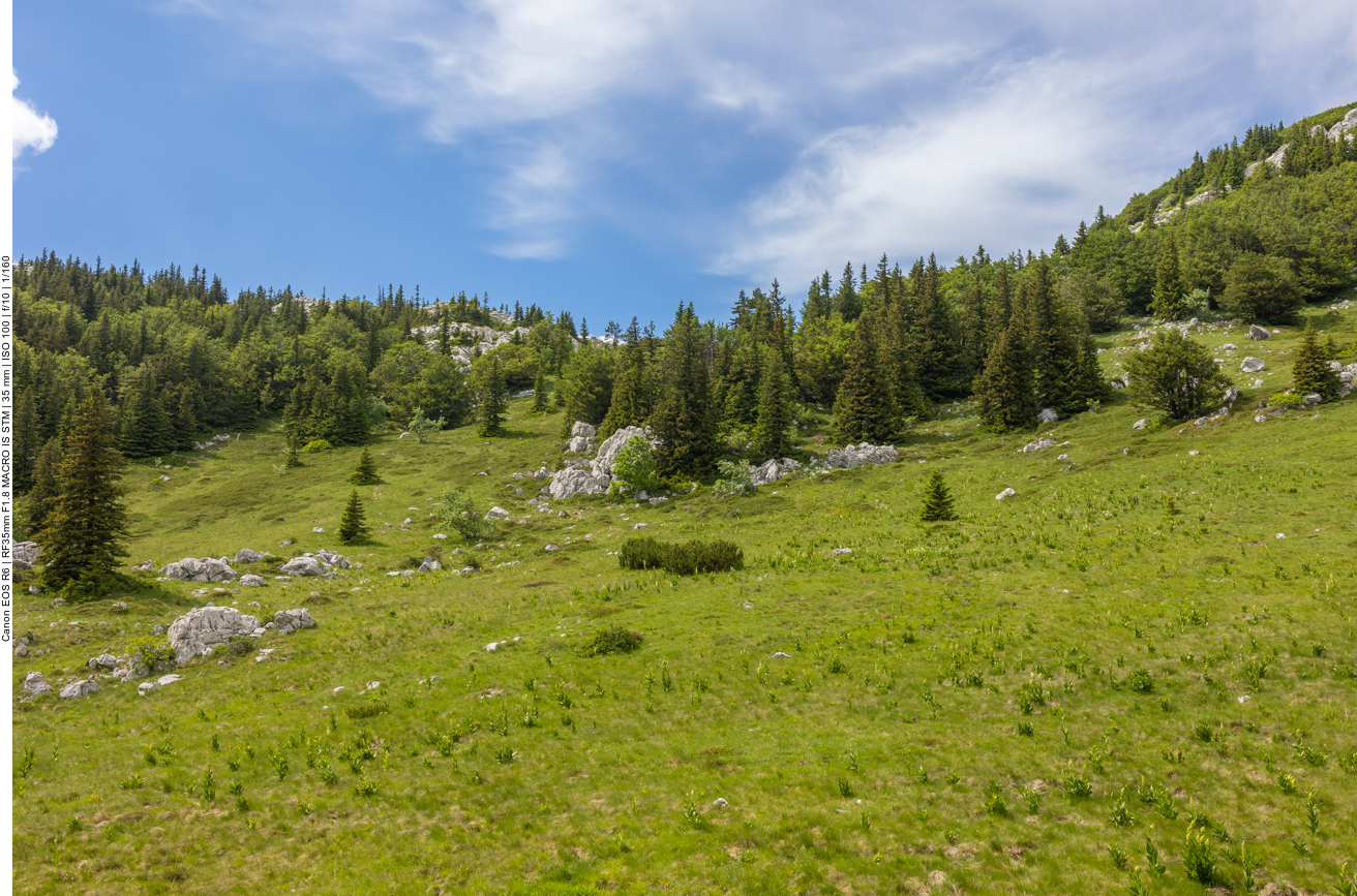 Nun kommt doch noch etwas blauer Himmel zum Vorschein