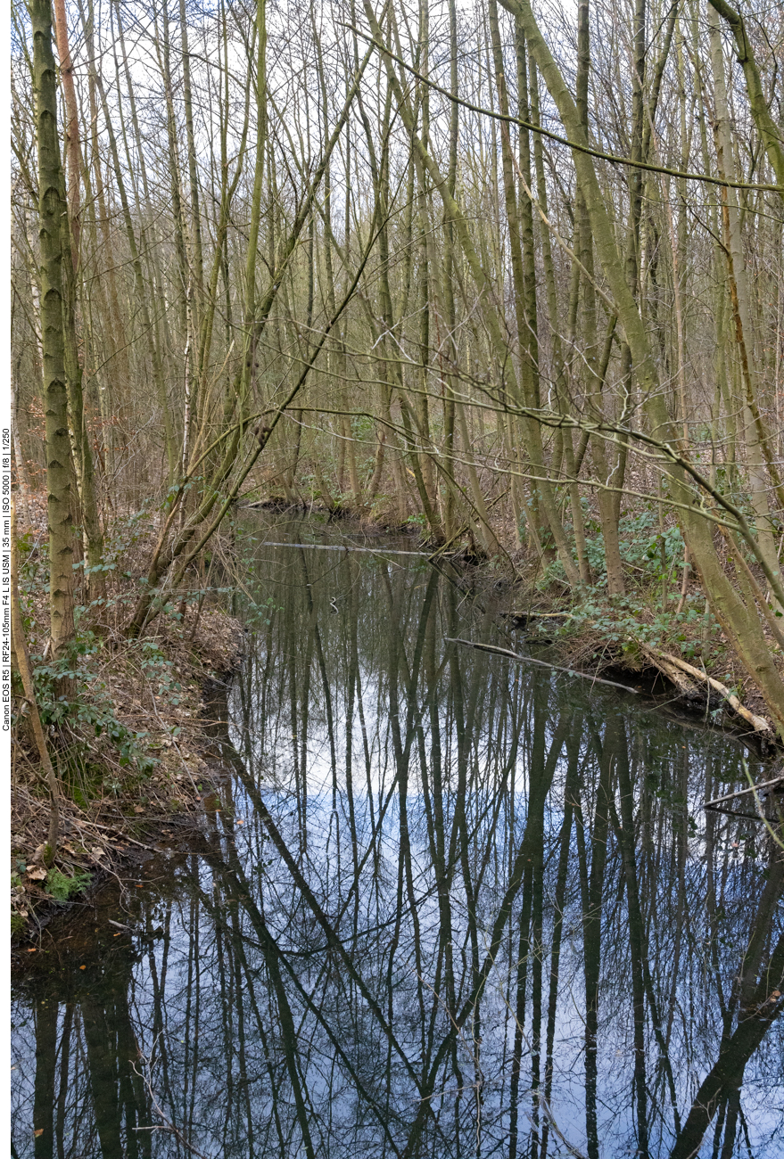 Kleiner Weiher