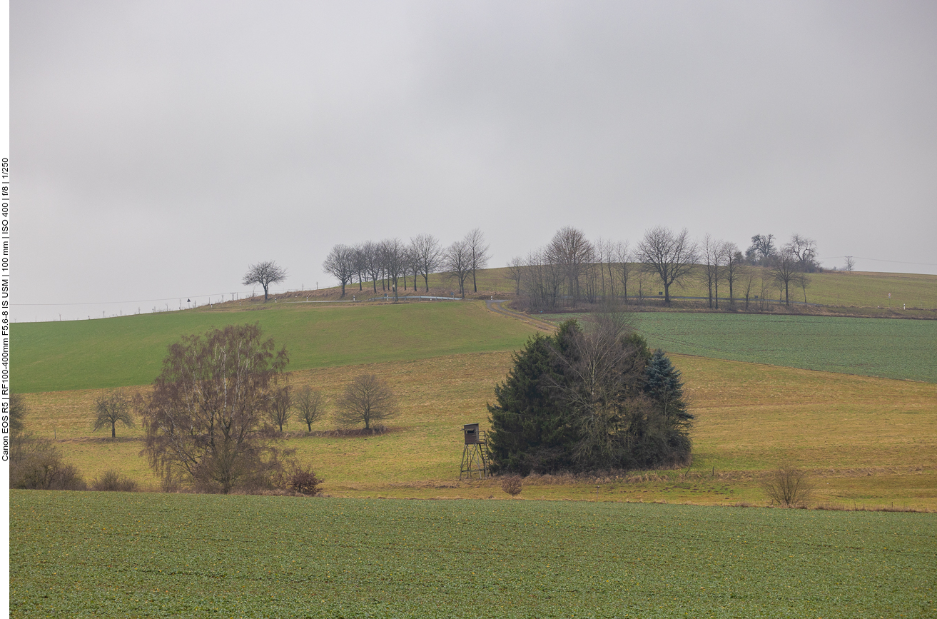 Winterlandschaft ohne Schnee