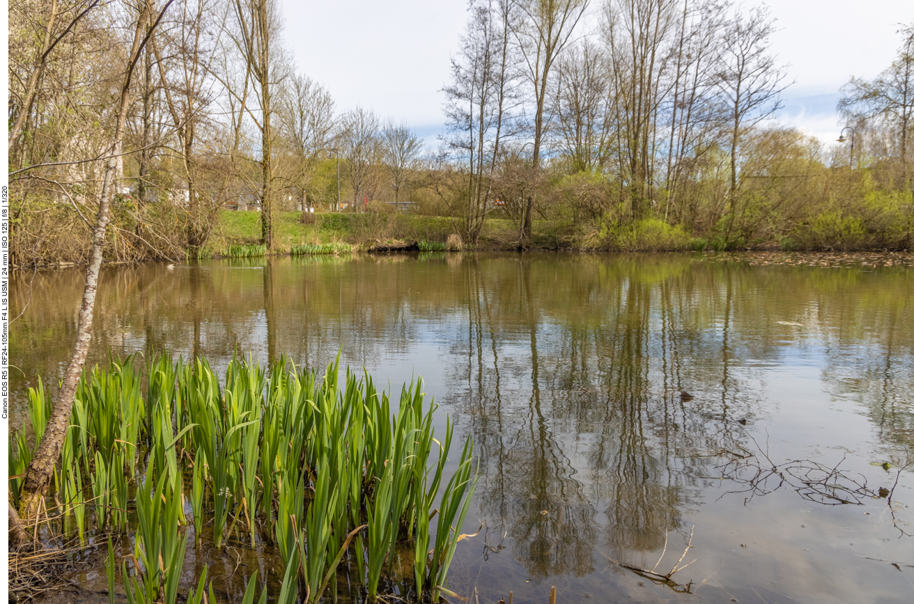 Thalfanger Weiher