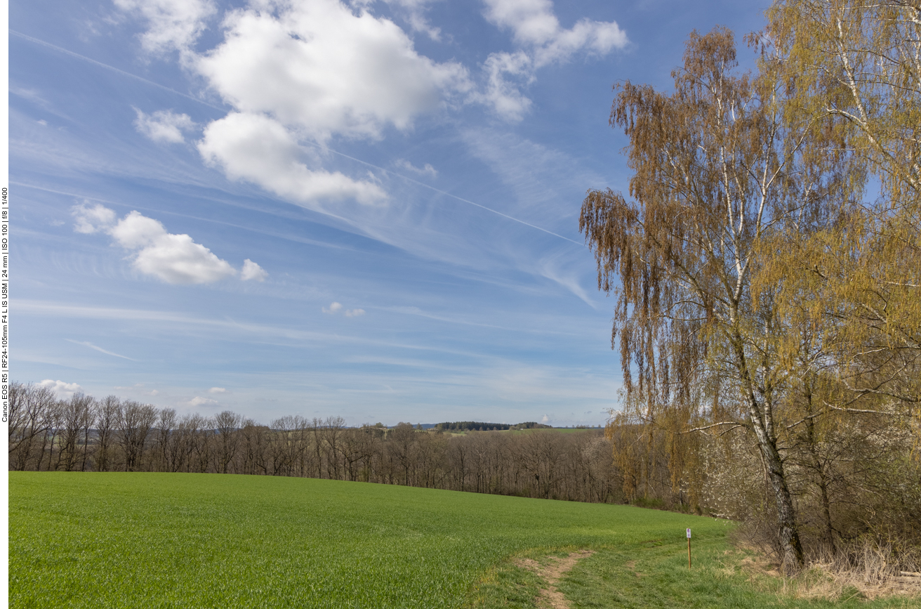 Landschaft im Hochwald