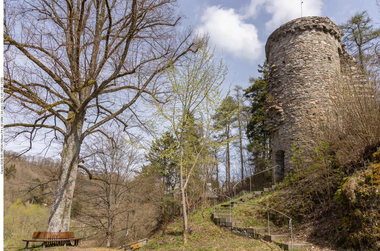 Der Burgturm