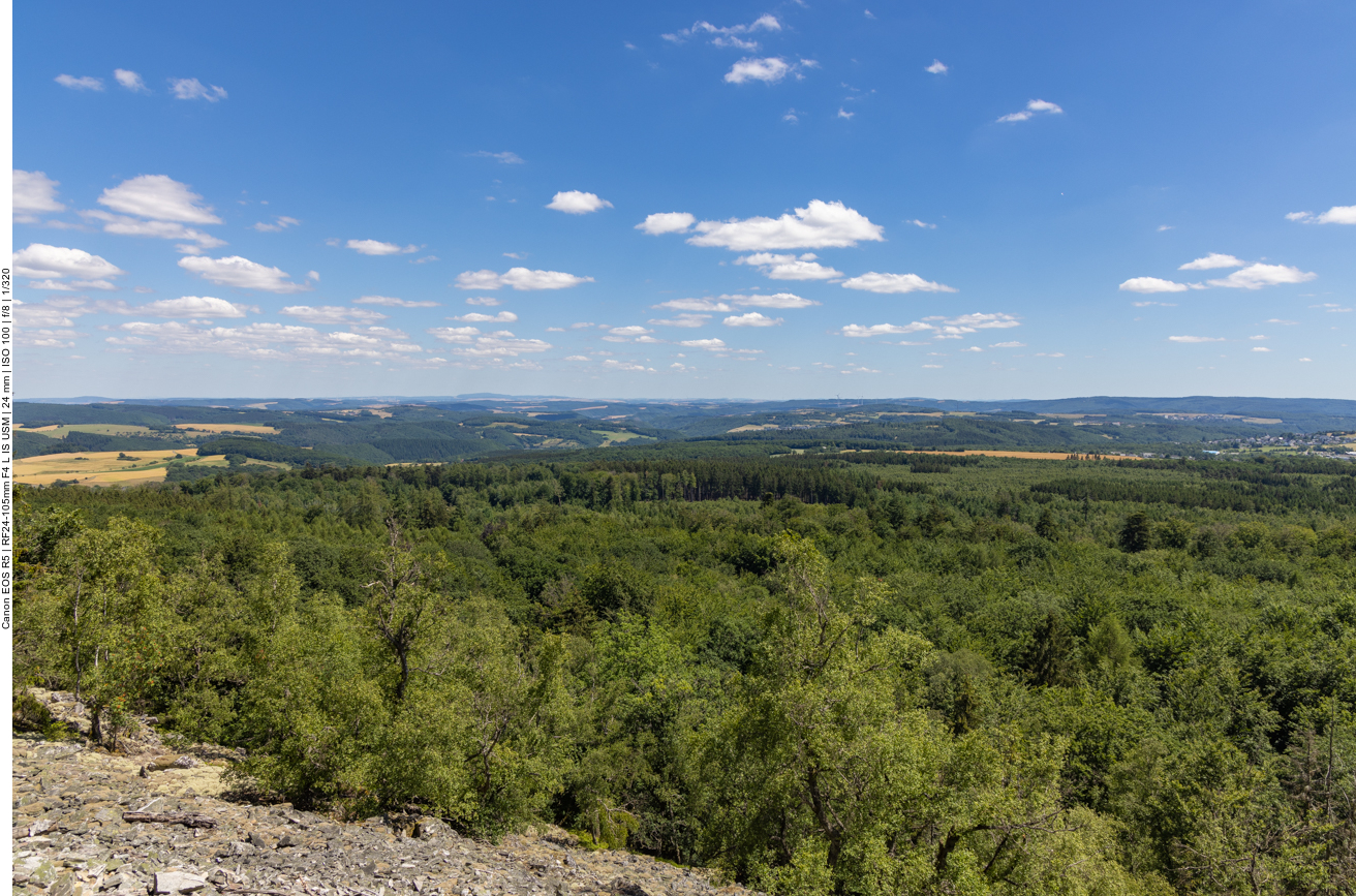 Viel Landschaft